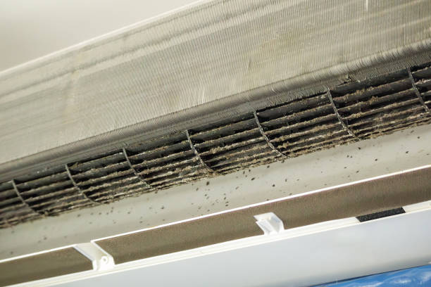 Ventilation Cleaning Services in Hamlin, TX